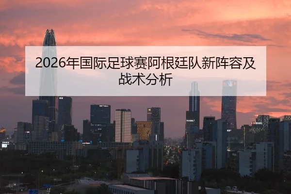 2026年国际足球赛阿根廷队新阵容及战术分析