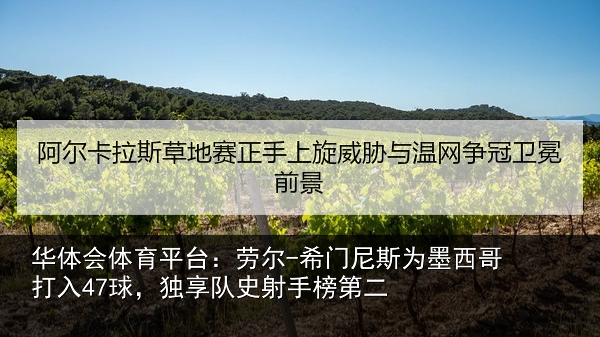 华体会体育平台：劳尔-希门相关情况47球独相关情况