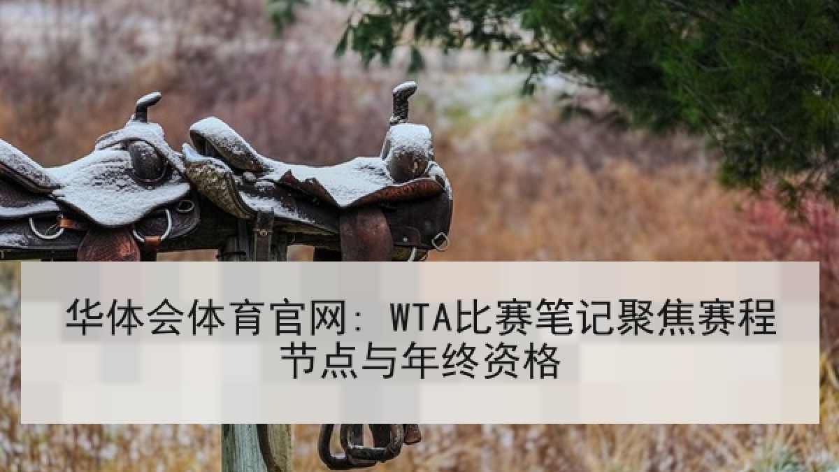 华体会体育官网: WTA比赛笔记聚焦赛程节点与年终资格