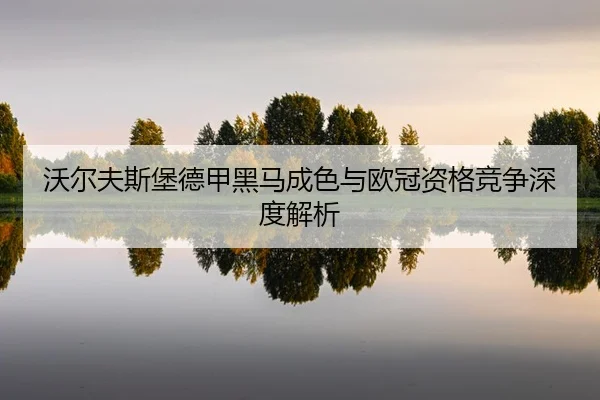 wo-er-fu-si-bao-de-jia-hei-ma-cheng-se-yu-ou-guan-zi-ge-jing-zheng-shen-du-jie-xi-2-287.jpg