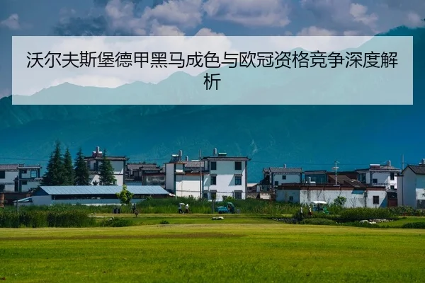 沃尔夫斯堡德甲黑马成色与欧冠资格竞争深度解析